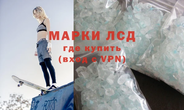 дмт Алзамай