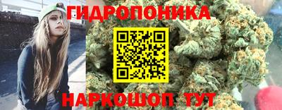 прущие грибы Кунгур